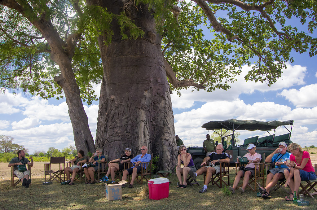 Lunch under the great Baobab tree