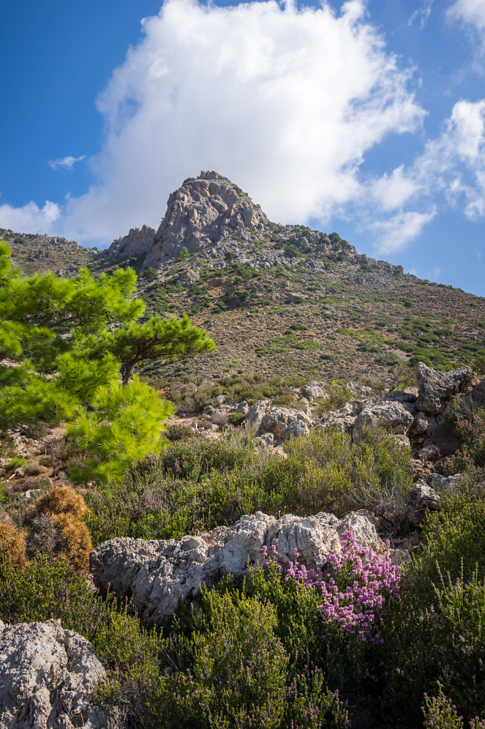 2015-Kreta-75.jpg
